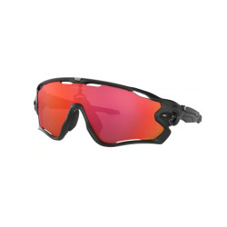 Oakley jawbreaker